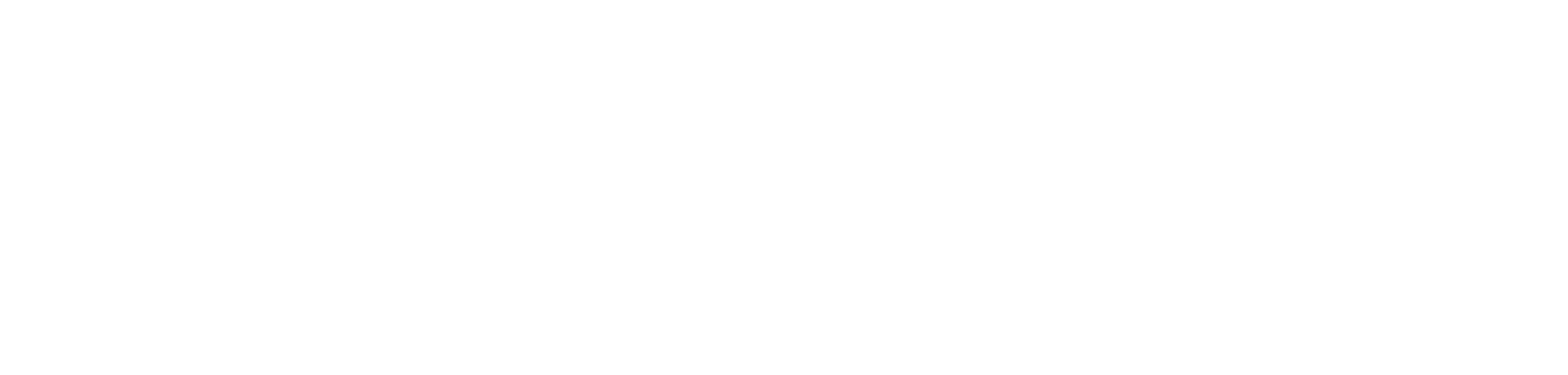 Birsen Andreeva - Astroloji & Ayurveda